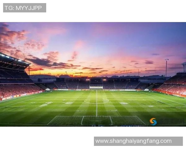 亲眼以看到足球星为中心描绘热血绿茵场上追逐梦想的激情时刻