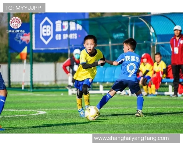 曲靖足球星引领青少年逐梦绿茵点亮城市体育发展新篇章